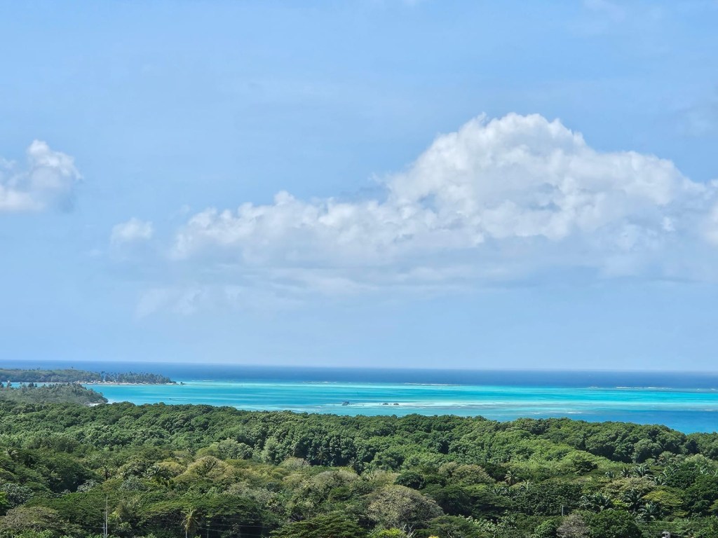 A scenic view of turquoise waters meeting a lush green coastline under a blue sky with clouds.